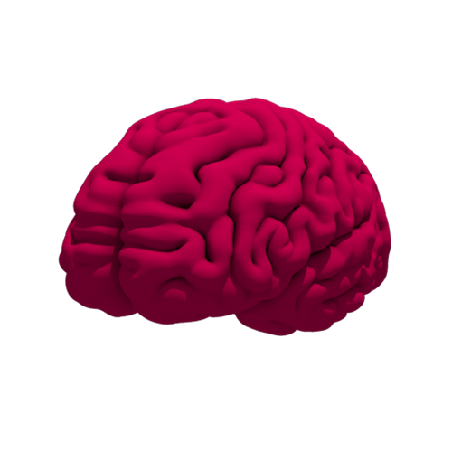 Možgani so najdragocenejše orodje- Neuromedis - Center za neurofeedback