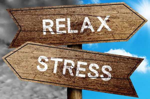 Biofeedback 5 - - Neuromedis - Neuromedis - stres